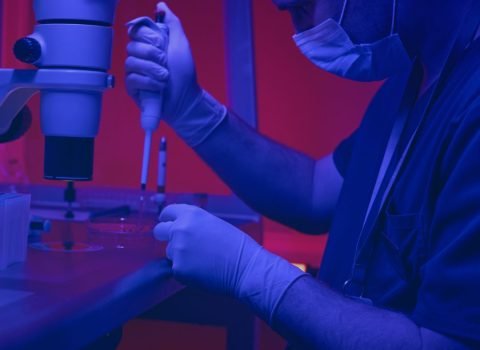 CELL THERAPY Allogeneic