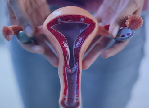 M & F Vaginal Plasty